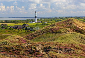 Dünenlandschaft mit Leuchtturm gegen das Wattenmeer, Kampen, Nordseeinsel, Sylt, Nordfriesische Inseln, Nordfriesland, Schleswig-Holstein, Deutschland Dünenlandschaft mit Leuchtturm gegen das Wattenmeer, Kampen, Nordseeinsel, Sylt, Nordfriesische Inseln, Nordfriesland, Schleswig-Holstein, Deutschland